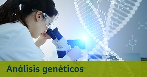 Destacados Análisis Genéticos