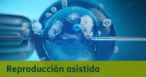 Destacados Reproducción Asistida