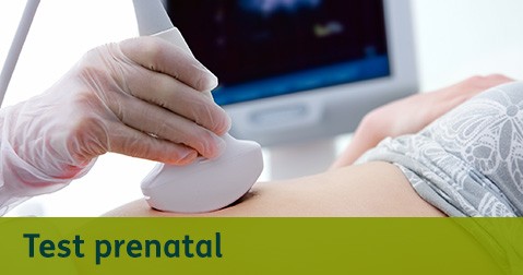 Destacados Test Prenatal